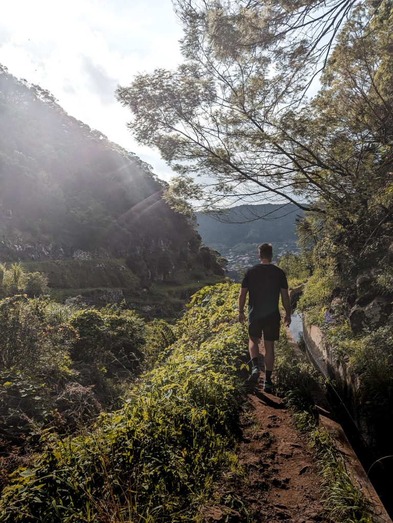 Hiker on a forest trail