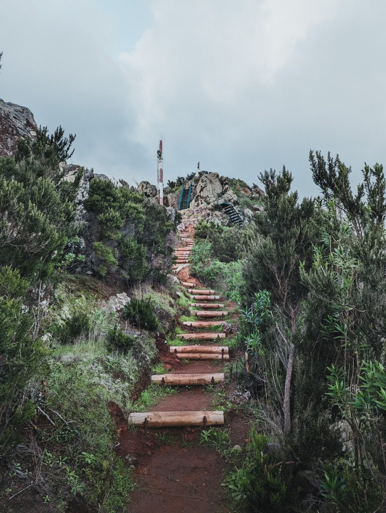 Stairway trail up to a viewpoint