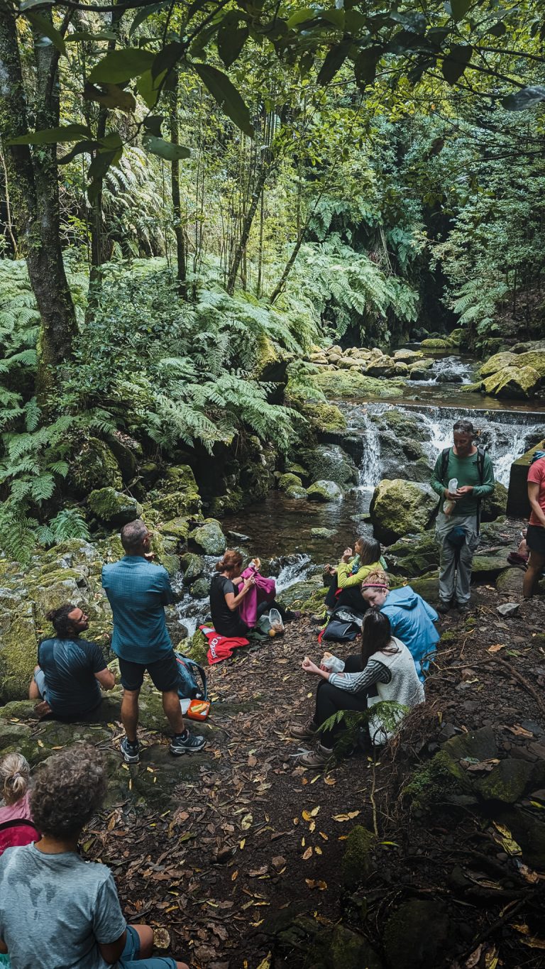 Group hike in a green valley
