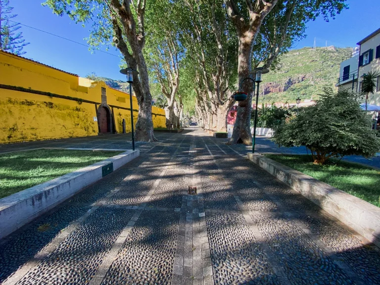 Tree-lined square in Machico